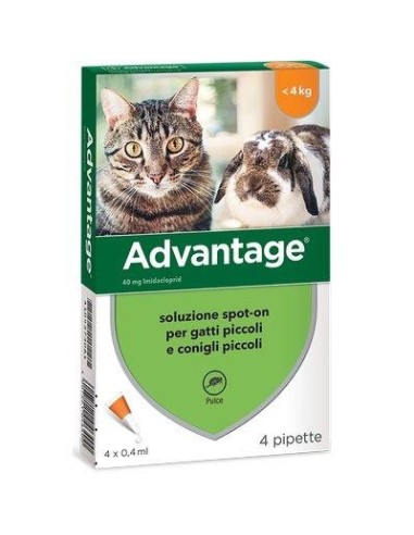 ANTIPARASSITARIO ADVANTAGE GATTI ELANCO KG  0/4 CF - PZ 4