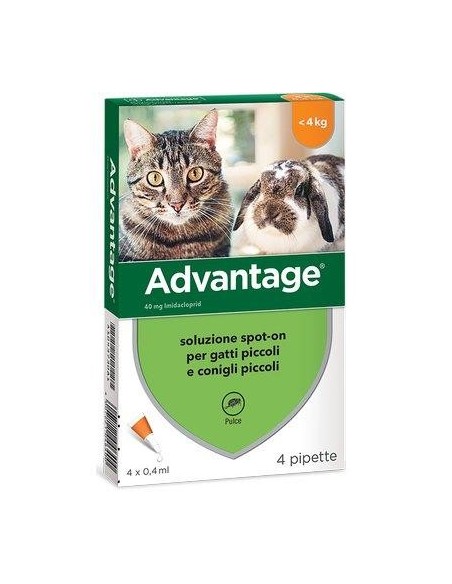 ANTIPARASSITARIO ADVANTAGE GATTI ELANCO KG  0/4 CF - PZ 4