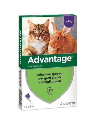 ANTIPARASSITARIO ADVANTAGE GATTI ELANCO KG  4+ CF - PZ 4