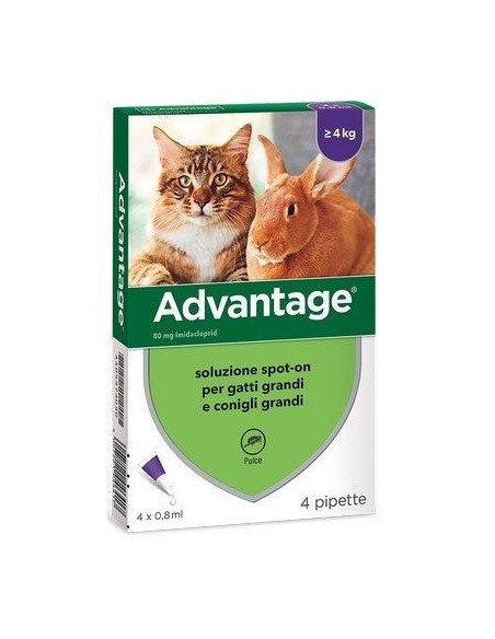 ANTIPARASSITARIO ADVANTAGE GATTI ELANCO KG  4+ CF - PZ 4