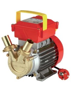 ELETTROPOMPA TRAVASO OTTONE CE ROVER 25 VOLT 230 WATT 550 LT/H 2500 H.MAX MT 25 MM 25