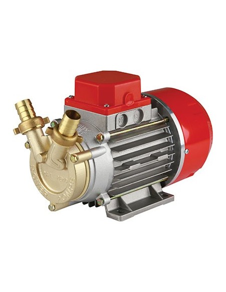 ELETTROPOMPA TRAVASO GASOLIO MARINA 20 ROVER 12 VOLT HP 0,5 LT/H 1700 H.MAX MT 24 MM 20