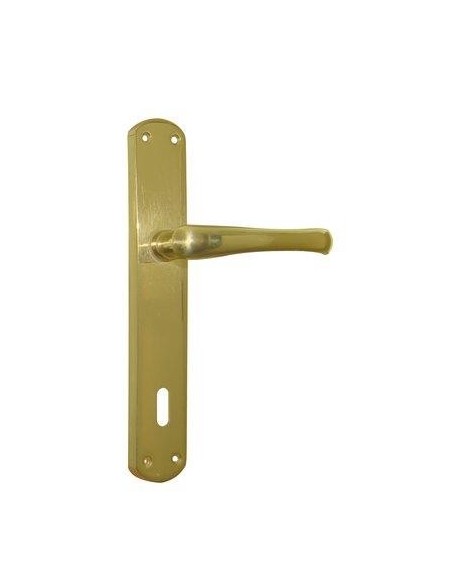 MANIGLIA RIO PLACCA FORO PATENT OTTONE LUCIDO Q8 I.MM 90 CF - PZ 2