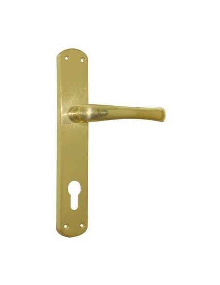 MANIGLIA RIO PLACCA FORO SAGOMATO OTTONE LUCIDO Q8 I.MM 90 CF - PZ 2