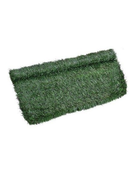 SIEPE SEMPREVERDE ABETE PE VERDE H.CM 150 L.MT 3