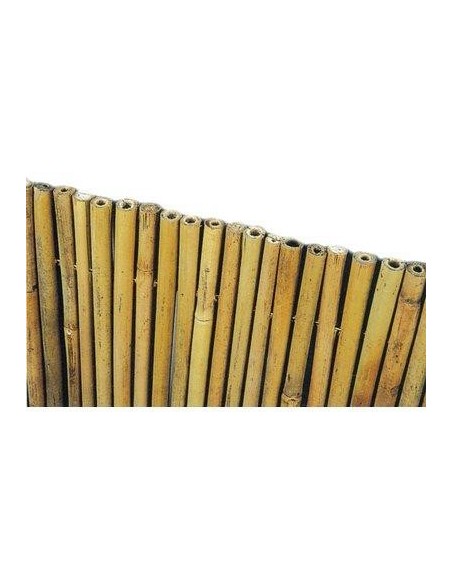 ARELLA STUOIA BAMBOO EXTRA STARS CANNA PULITA MM 20-28 L.MT 3 H.CM 150