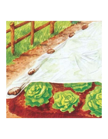 TELO ANTIGELO TNT PROTEZIONE PIANTE STARS BIANCO GR/MQ 17 L.MT 250 H.CM 320