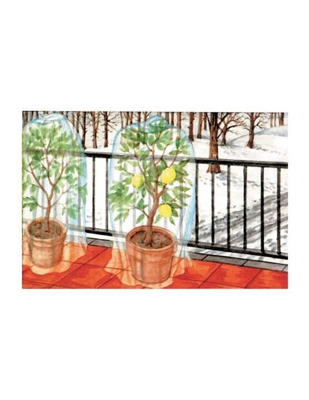 CAPPUCCIO ANTIGELO TNT PROTEZIONE PIANTE STARS BIANCO GR/MQ 17 CF - PZ 3 CM 100 H.CM 120