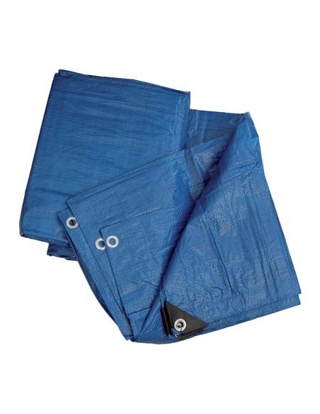 TELONE OCCHIELLATO PE BLU HAND GR/MQ 90 MT  4X5