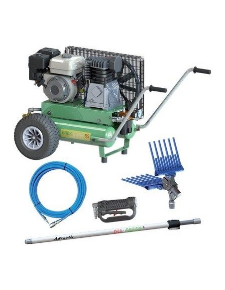 COGLIOLIVE AC ENER-COMP 55/11+11 KIT MINELLI HONDA 4T GP160 LT/MIN 550
