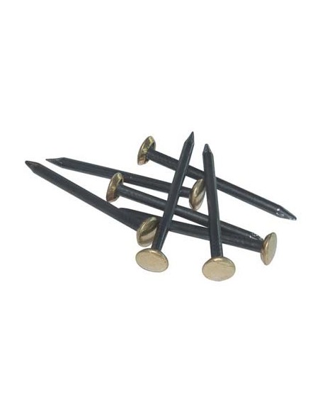 CHIODO TESTA OTTONE ACCIAIO CF - PZ 100 MM 20